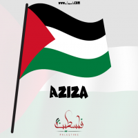 إسم Aziza مكتوب على صور علم فلسطين