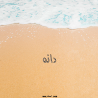 إسم دانه مكتوب على صور الرمل