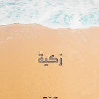 إسم زكية مكتوب على صور علم فلسطين
