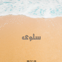 إسم سلوى مكتوب على صور الرمل