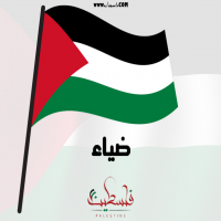 إسم ضياء مكتوب على صور علم فلسطين