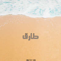 إسم طارق مكتوب على صور الرمل