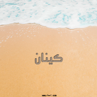 إسم كينان مكتوب على صور علم فلسطين