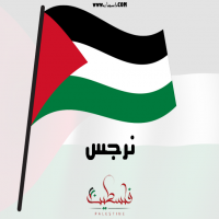 إسم نرجس مكتوب على صور علم فلسطين