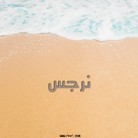 إسم نرجس مكتوب على صور الرمل
