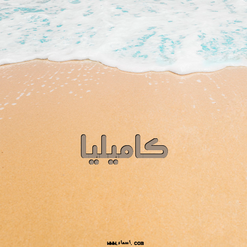 إسم كاميليا مكتوب على الرمل