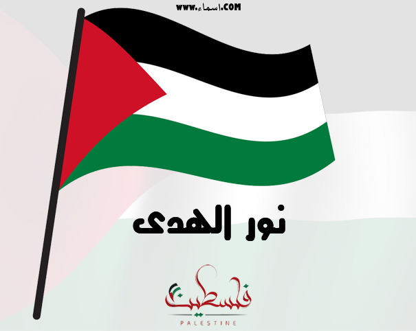 إسم نور الهدى مكتوب على علم فلسطين